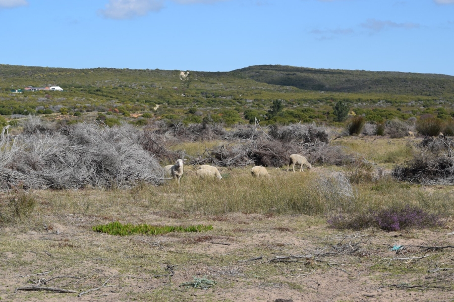  Bedroom Property for Sale in Stilbaai Rural Western Cape